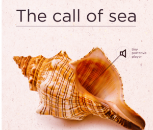 Call of sea direct mailer