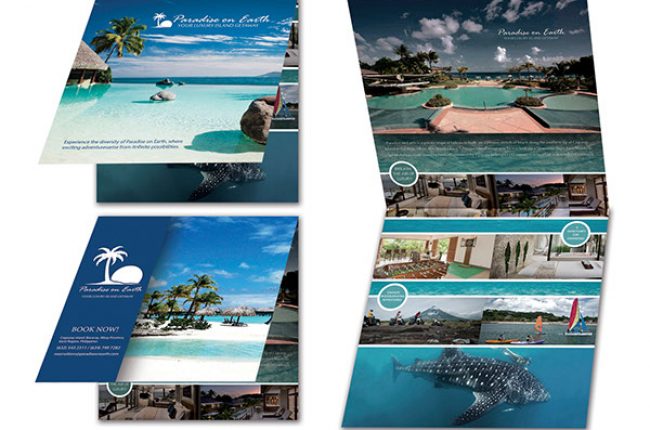 Direct Mailer 216